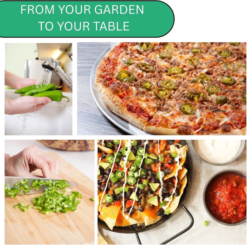 Jalapeño TAM Hot Pepper Seeds for Planting - Over 180 Heirloom Non-GMO Jalapeno Seeds for Planting - Beginner Friendly Jalapeno Pepper Seed Pack for Indoor, Outdoor & Home Garden
