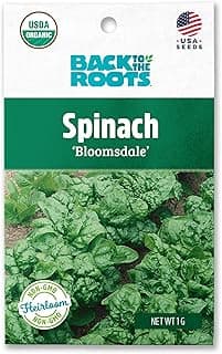 Seed Packet - Spinach