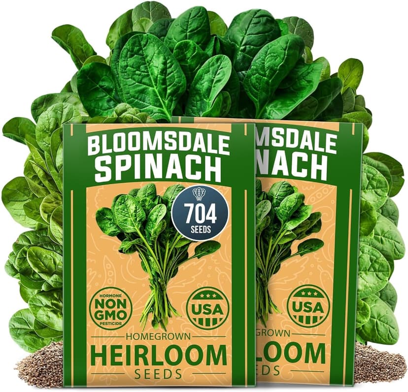 HOME GROWN Bloomsdale Spinach Seeds - 2 Bulk Packs (Spinacia oleracea) – 704 High Germination 𝗡𝗢𝗡-𝗚𝗠𝗢 𝗨𝗦𝗔 Heirloom Spinach Seeds for Planting – Leafy Green Lettuce – for Home Gardens