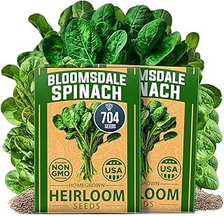 HOME GROWN Bloomsdale Spinach Seeds - 2 Bulk Packs (Spinacia oleracea) – 704 High Germination 𝗡𝗢𝗡-𝗚𝗠𝗢 𝗨𝗦𝗔 Heirloom Spinach Seeds for Planting – Leafy Green Lettuce – for Home Gardens