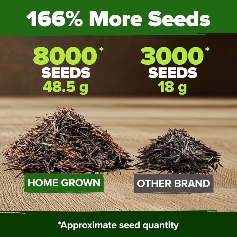 HOME GROWN Cosmos Flower Seeds Bulk Pack for 2025 (1.8 oz) 8,000+ 𝗡𝗢𝗡-𝗚𝗠𝗢 𝗨𝗦𝗔-𝗦𝗢𝗨𝗥𝗖𝗘𝗗 Heirloom Annual Wildflower Seeds – Pollinator-Friendly Mix for Pollinators & Outdoor Gardens