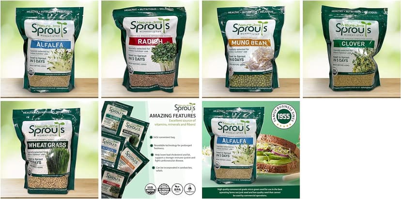 Nature Jims Sprouts Wheatgrass Seeds - 100% Organic Wheat Grass Seed for Sprouting - Cat Grass Planter Seeds, Rich in Vitamins, Fiber and Minerals - Non-GMO, Healthy Wheatgrass Sprout Growing Seed