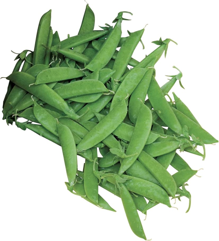 Burpee Super Sugar Snap Pea Seeds 300 seeds