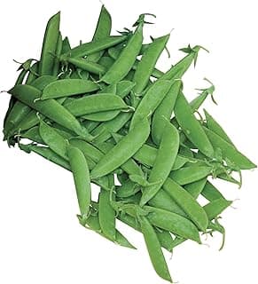 Burpee Super Sugar Snap Pea Seeds 300 seeds