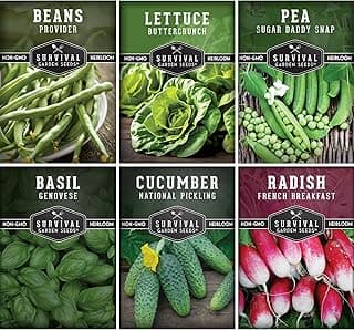 Survival Garden Seeds Kids' Easy Garden Collection - Cucumber, Radish, Beans, Peas, Lettuce, Basil Non-GMO Open Pollinated Seeds for Growing on The Homestead or in The Vegetable Garden