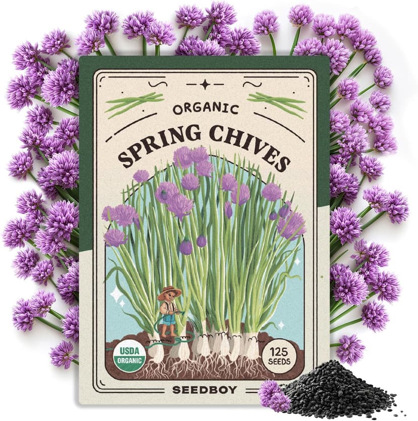 Organic Chive Seeds for Planting Indoor and Outdoor, Non-GMO and USDA Certified Herb Seed Packet for Hydroponic Garden Indoor or Planting Outdoors (Common Chives)