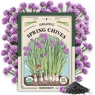 Organic Chive Seeds for Planting Indoor and Outdoor, Non-GMO and USDA Certified Herb Seed Packet for Hydroponic Garden Indoor or Planting Outdoors (Common Chives)