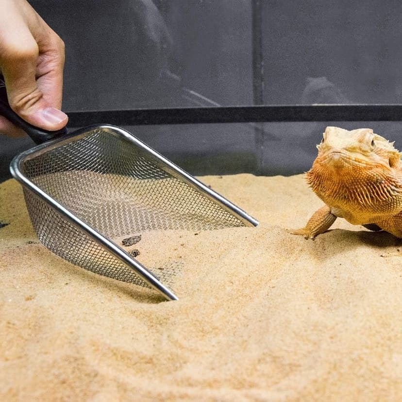 REPTI Zoo Reptile Sand Stainless Steel Fine Mesh Reptile Substrate Metal Sand Shovel Terrarium Substrate Long-Lasting Litter Cleaner Corner Scoop