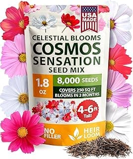 HOME GROWN Cosmos Flower Seeds Bulk Pack for 2025 (1.8 oz) 8,000+ 𝗡𝗢𝗡-𝗚𝗠𝗢 𝗨𝗦𝗔-𝗦𝗢𝗨𝗥𝗖𝗘𝗗 Heirloom Annual Wildflower Seeds – Pollinator-Friendly Mix for Pollinators & Outdoor Gardens