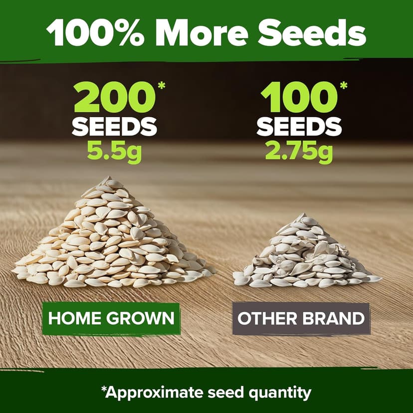HOME GROWN Organic Cucumber Seeds - 200 Marketmore Heirloom 𝗡𝗢𝗡-𝗚𝗠𝗢 𝗨𝗦𝗔 Vegetable Seeds for Planting in Trellises,Raised Beds,Containers - Beginners and Experienced Gardeners(Cucumis sativus)