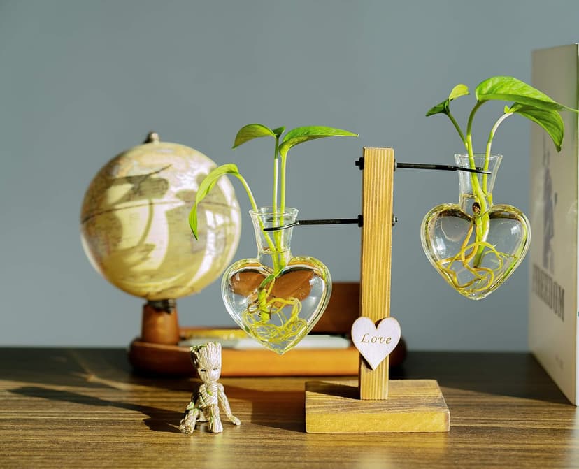Kingbuy Hydroponic Glass Vase Vintage Desktop Plant Terrarium Planter Bulb Vase Water Planting Propagation Vase Planters Hydroponics Plants with Retro Wooden Stand Home Garden. (E（2 Heart Vase）)