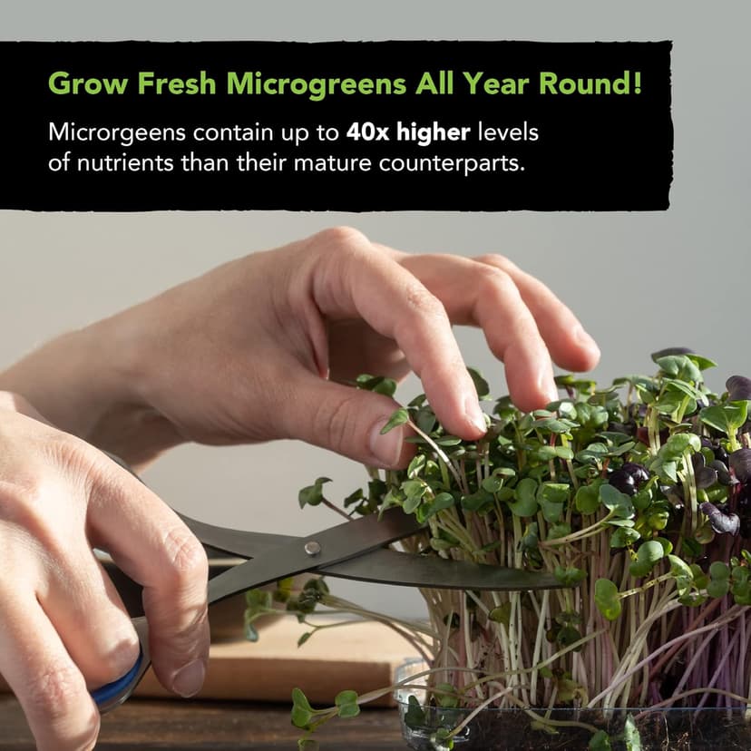Microgreens Seeds Growing Kit: 5 Micro Green Variety Pack, Broccoli, Beets, Arugula, Spicy, Mild Mix, 100% Non GMO Sprouting Seeds, Organic Microgreen Seed Planting Indoor Garden by Sustainable Sprout