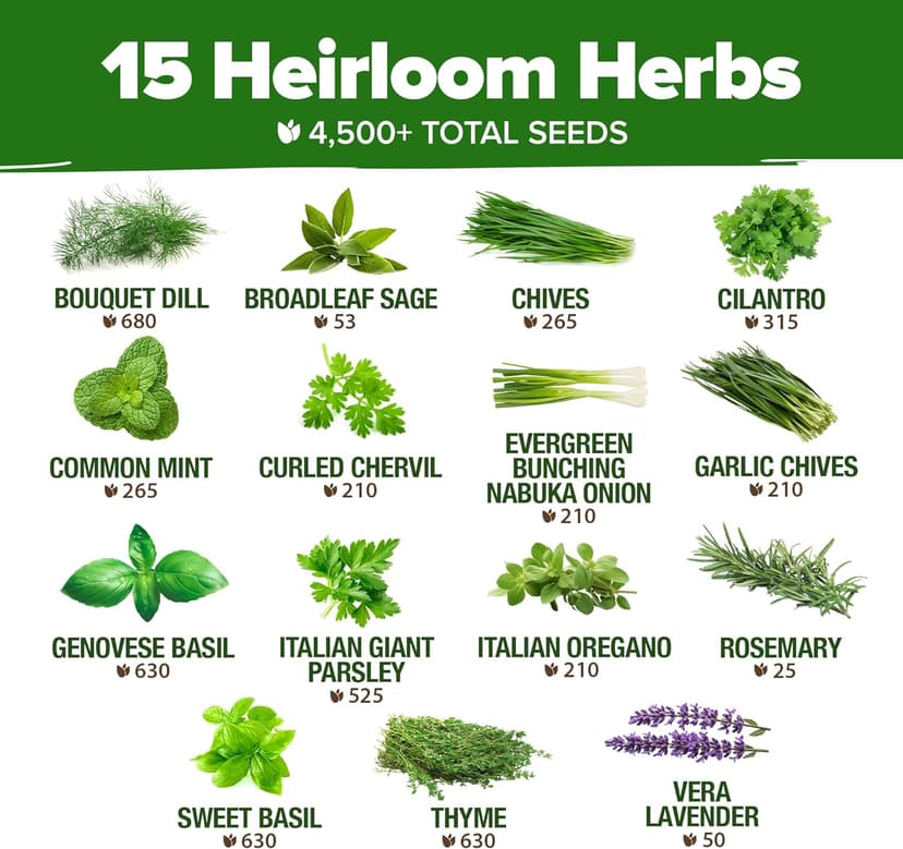 HOME GROWN 15 Culinary Herb Seeds 4,500+ Heirloom 𝗡𝗢𝗡-𝗚𝗠𝗢, 𝗨𝗦𝗔-𝗦𝗢𝗨𝗥𝗖𝗘𝗗 High Germination Rate, for Planting Indoor Hydroponic Outdoor, Gardening Gifts for Women Men, Mothers Day Gifts