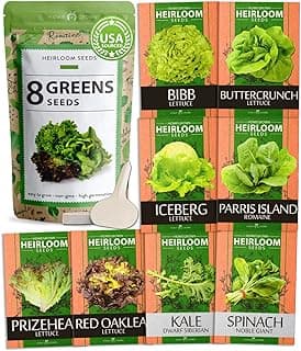 HOME GROWN 8 Lettuce & Salad Greens Seed Vault - 4,000+ 𝗡𝗢𝗡-𝗚𝗠𝗢, 𝗨𝗦𝗔-𝗦𝗢𝗨𝗥𝗖𝗘𝗗 Vegetable Seeds for Outdoors or Indoors - Seeds for Planting Hydroponic Garden