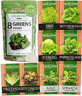 HOME GROWN 8 Lettuce & Salad Greens Seed Vault - 4,000+ 𝗡𝗢𝗡-𝗚𝗠𝗢, 𝗨𝗦𝗔-𝗦𝗢𝗨𝗥𝗖𝗘𝗗 Vegetable Seeds for Outdoors or Indoors - Seeds for Planting Hydroponic Garden