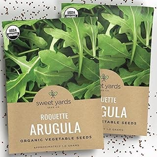 Organic Arugula Seeds - 2 SEED PACKETS! - Over 1,000 Open Pollinated Non-GMO USDA Organic Seeds