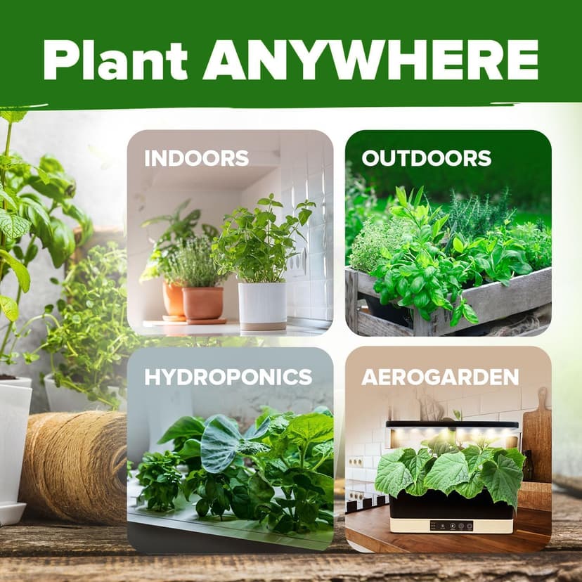 HOME GROWN 15 Culinary Herb Seeds 4,500+ Heirloom 𝗡𝗢𝗡-𝗚𝗠𝗢, 𝗨𝗦𝗔-𝗦𝗢𝗨𝗥𝗖𝗘𝗗 High Germination Rate, for Planting Indoor Hydroponic Outdoor, Gardening Gifts for Women Men, Mothers Day Gifts