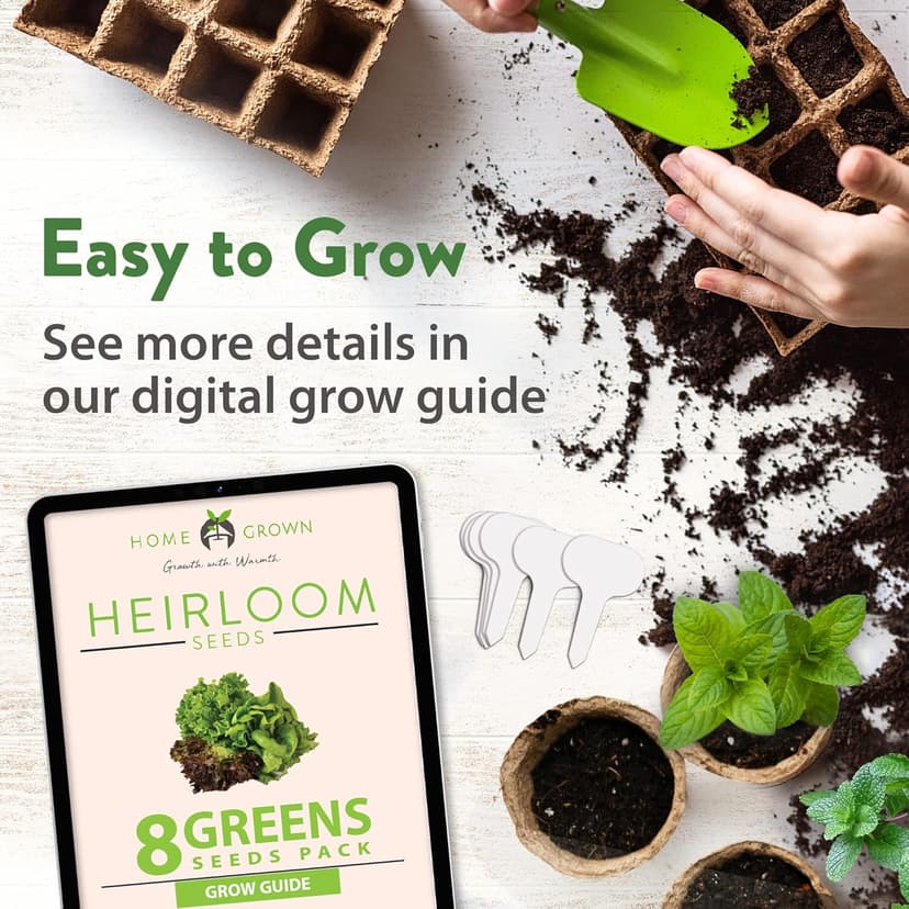 HOME GROWN 8 Lettuce & Salad Greens Seed Vault - 4,000+ 𝗡𝗢𝗡-𝗚𝗠𝗢, 𝗨𝗦𝗔-𝗦𝗢𝗨𝗥𝗖𝗘𝗗 Vegetable Seeds for Outdoors or Indoors - Seeds for Planting Hydroponic Garden