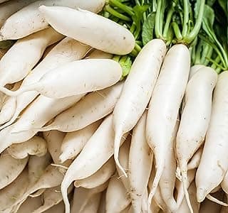 Japanese Daikon Radish Seeds for Planting - 100 Heirloom Non GMO Seeds - Full Planting Instructions to Plant & Grow a Home Vegetable Garden - Great Gardening Gift, 1 Packet