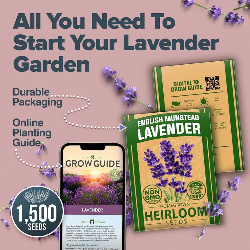 HOME GROWN 𝗣𝗥𝗘𝗠𝗜𝗨𝗠 English Lavender Seeds 2 Pack,3000 𝗡𝗢𝗡-𝗚𝗠𝗢,𝗨𝗦𝗔-𝗦𝗢𝗨𝗥𝗖𝗘𝗗 Wildflower Seed for Planting Indoor/Outdoor,High Germination,Plant Flower Seeds(Lavandula antustifolia)