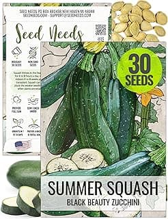 Seed Needs Zucchini Seeds for Planting Black Beauty Summer Squash - Non-GMO, Heirloom & Untreated - Prolific Yields of Delicious Zucchinis in a Home Grown Outdoor Vegetable Garden (1 Pack)