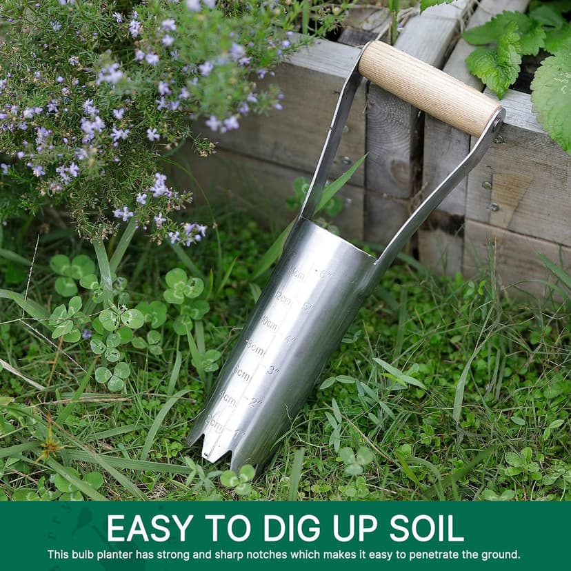 Garden Bulb Planter with 6 inches Depth Mark, Garden Bulb Transplanter Tool with Wooden Handle, Stainless Steel Soil Release Tool for Transplanting Digging Planting Flowers
