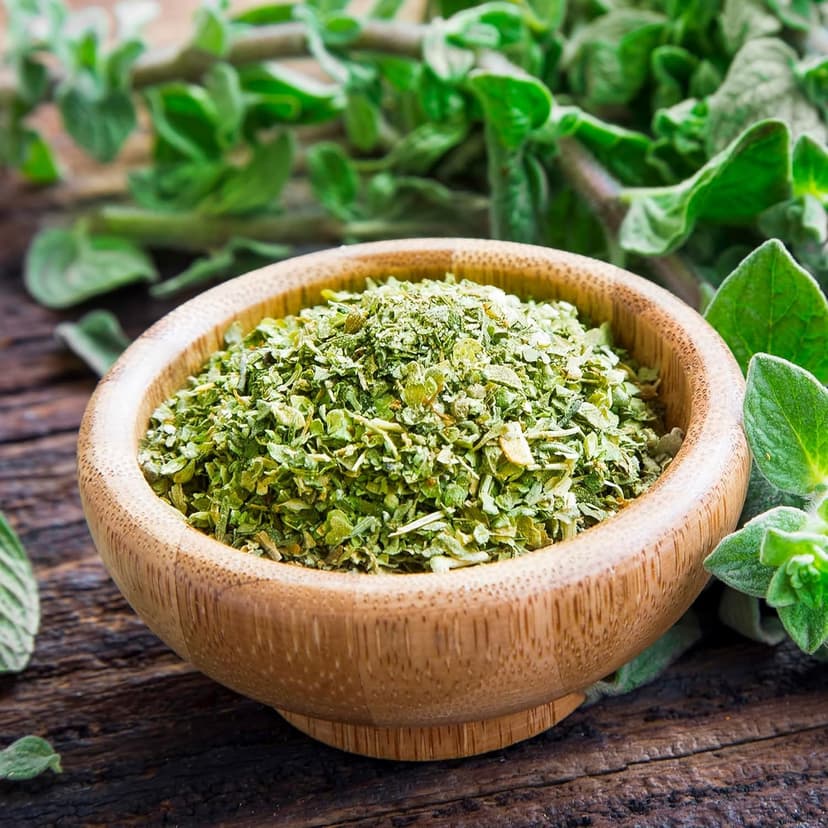 Back to the Roots - 100% Organic Seed Packet - Oregano 'Italian' 70mg