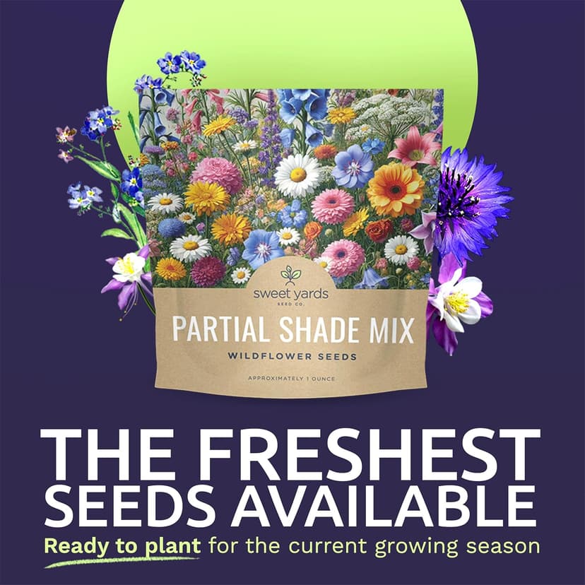 Wildflower Seeds Partial Shade Mix - 1 Ounce Over 7,000 Open Pollinated Annual and Perennial Seeds