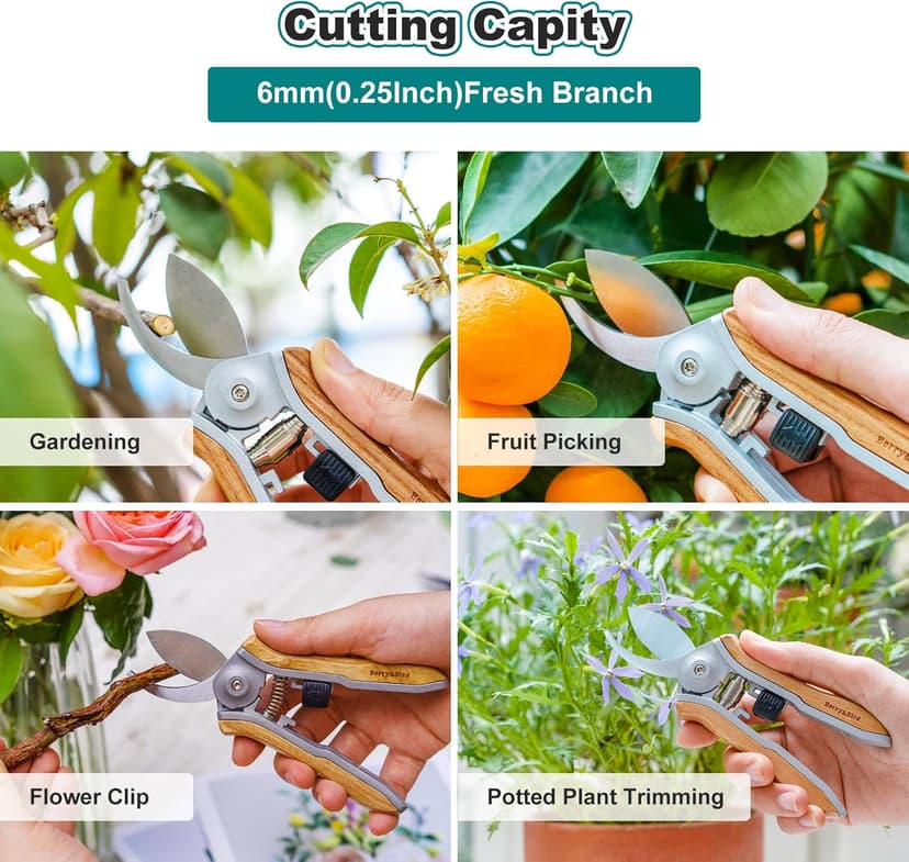 Mini Pruning Shears for Gardening Curved Blades Hand Pruners with Wooden Handle Garden Scissors Snips Stainless Steel Trimming Small Clippers Bonsai Compact Size Sheaering Tool