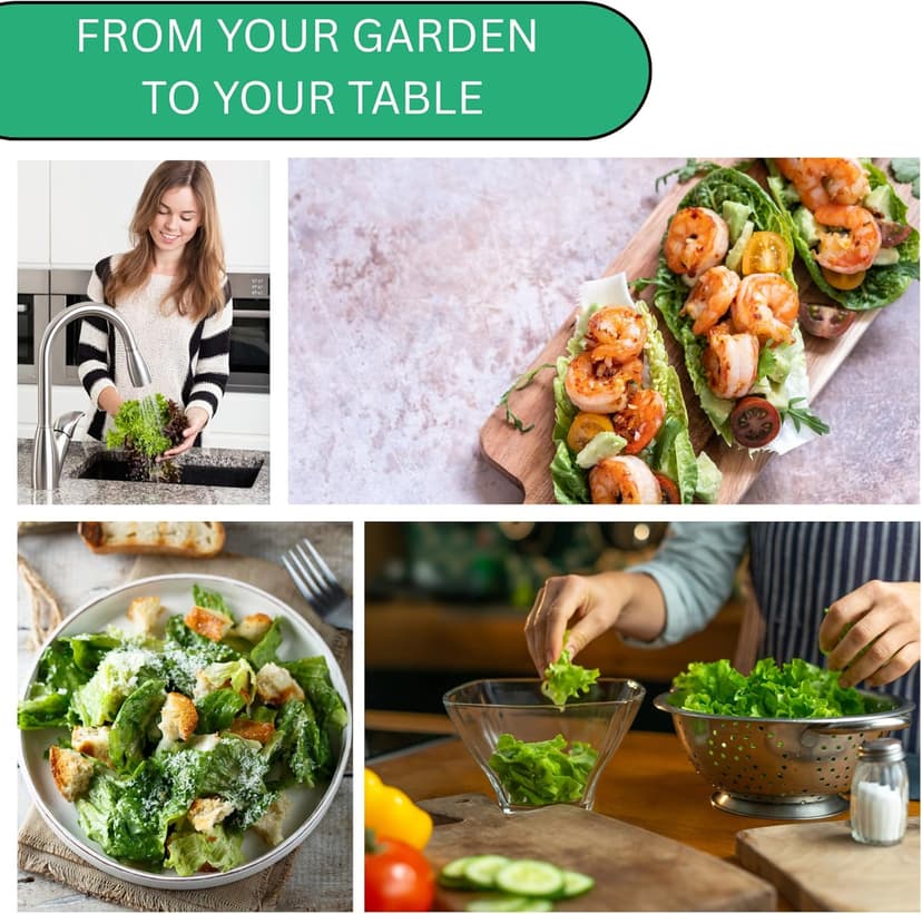 Summer Bibb Heirloom Lettuce Seeds for Planting - Over 2,700 Non-GMO Seed Pack for Growing Indoors, Outdoors, or as Hydroponic Seeds - Beginner-Friendly Green Leaf Lettuce Seed