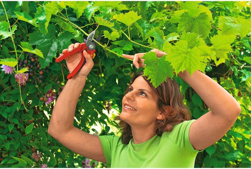 WOLF Garten Anvil Secateurs (RS2500)