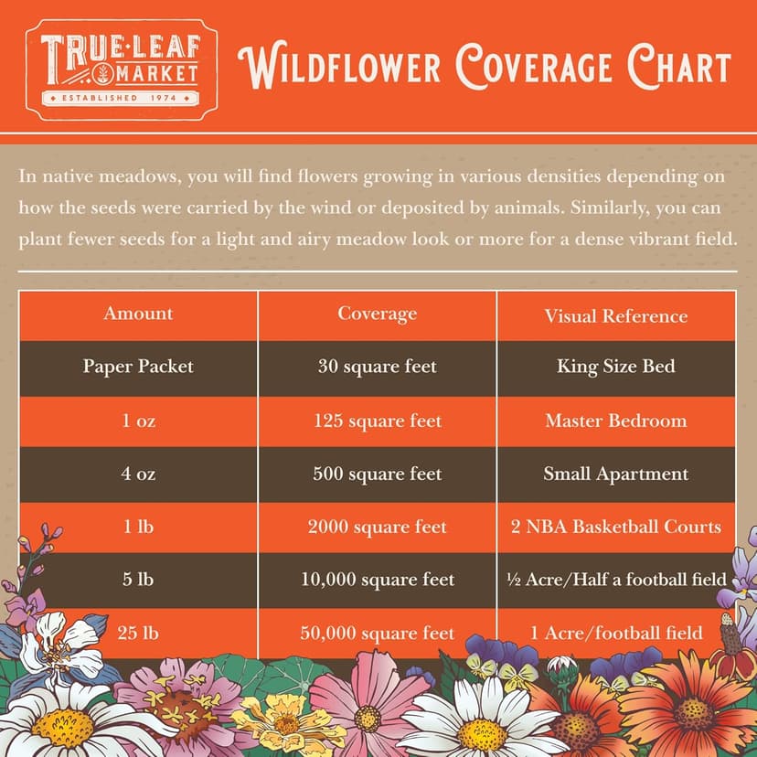 Wildflower Seeds Bulk, 2 Oz. 80,000+ Seeds, Butterfly and Hummingbird Seed Mix, 23 Non-GMO Varieties of Butterfly Garden Seeds for Planting - Hummingbird Flower Seeds, Butterfly Flower Seeds