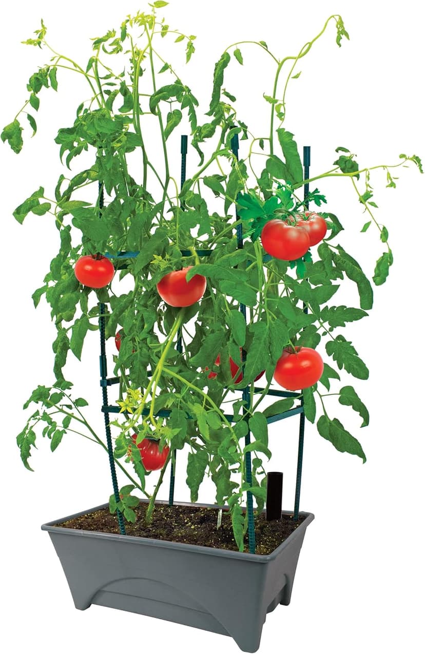 Emsco Group Start Pickin' Raised Bed Grow Box – Self Watering and Improved Aeration – Starter Box or Small Herb Garden Growing - 10" Bed - 12x20 Growing Area - Slate