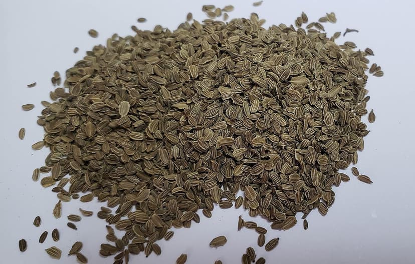 “New Kuroda” Carrot Seeds – Fast-Growing Carrot – Harvest in 75 Days | Daucus Carota VAR. Sativus | Never GMO, Always Heirloom and Open-Pollinated | USA Grown Seeds by Liliana's Garden |