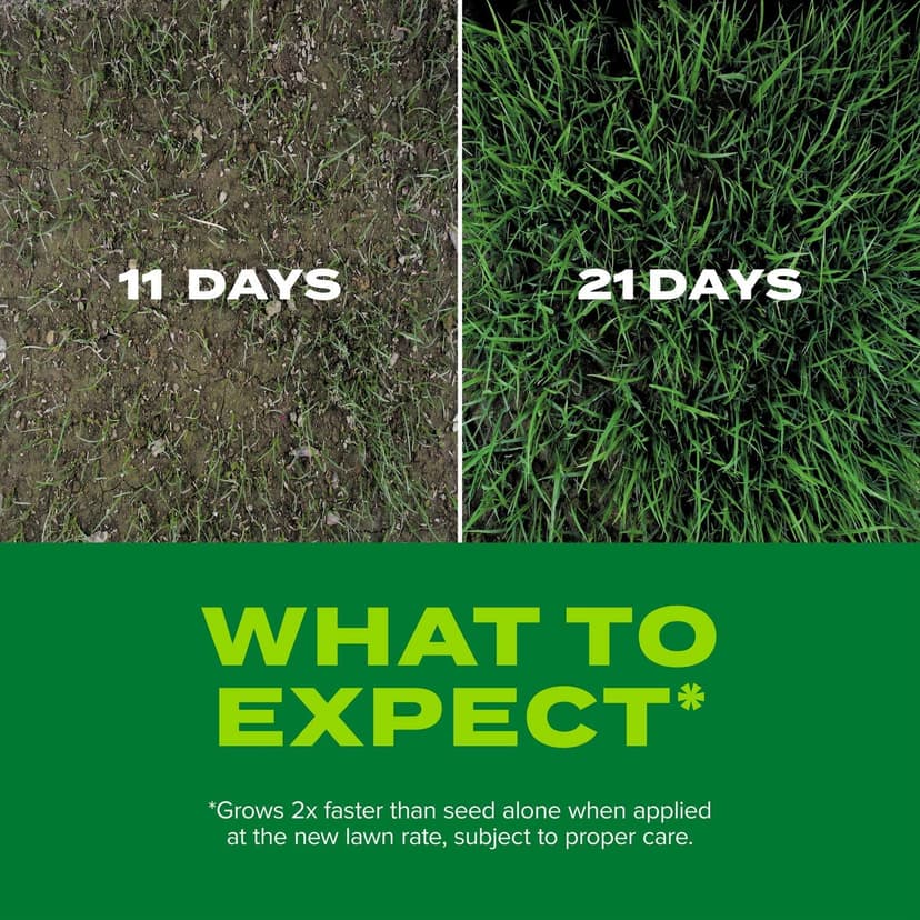 Scotts Turf Builder Rapid Grass Tall Fescue Mix, Combination Seed and Fertilizer, Grows Green Grass in Just Weeks, 5.6 lbs.