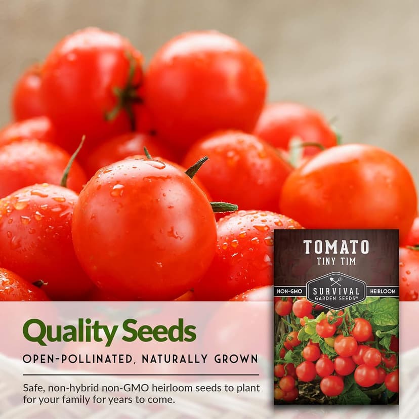 Survival Garden Seeds - Tiny Tim Tomato Seeds for Planting - 1 Pack with Instructions to Grow in Your Home Vegetable Garden - Non-GMO Heirloom Variety