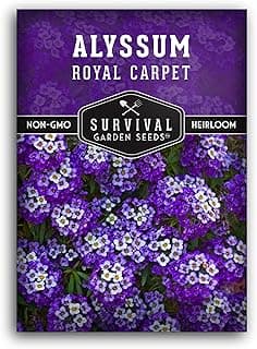 1 Pack Royal Carpet Alyssum Seed for Planting with Instructions to Grow Purple Alyssum Flower in Your Flower Garden - Non-GMO Heirloom - Fragrant Ground Cover Seeds Perennial - Survival Garden Seeds