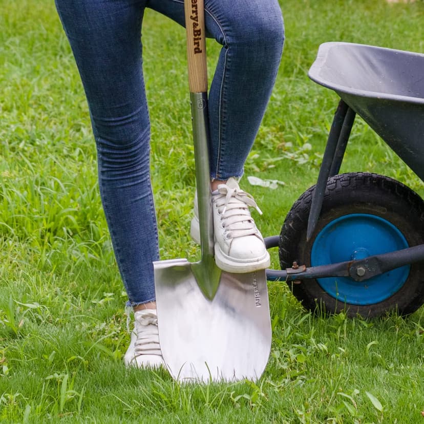 Round Point Gardening Shovel with Wood D-Handle, 40.98" Stainless Steel Beach & Snow Shovel