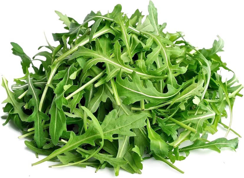 Arugula Seeds for Planting, Slow Bolt, 800+ Heirloom, Non-GMO Vegetable Seeds, Grow Peppery Greens Indoors or Outdoors, Perfect for Microgreens, Includes Instructions, Qty 1