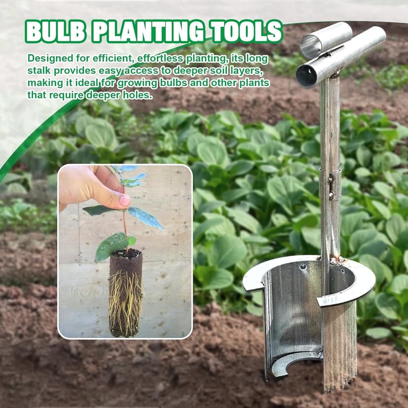 2 Pack Bulb Planter Tool Stainless Steel, Plant and Fruit Tree Seedling Transplanter, Bulb Transplanter Tool for Digging Holes to Transplanting