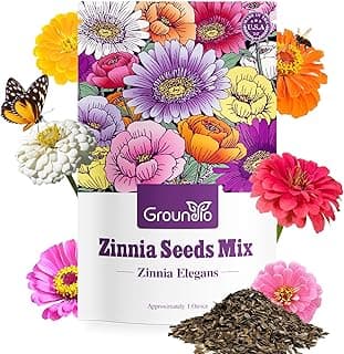 Zinnia Seeds Mix, 1 Oz, Over 3,000 Flowers Seeds, 5 Varieties (Pink, Yellow, Orange, White, Purple), Mixed Colors and Large Blooms,Open Pollinated - Bulk