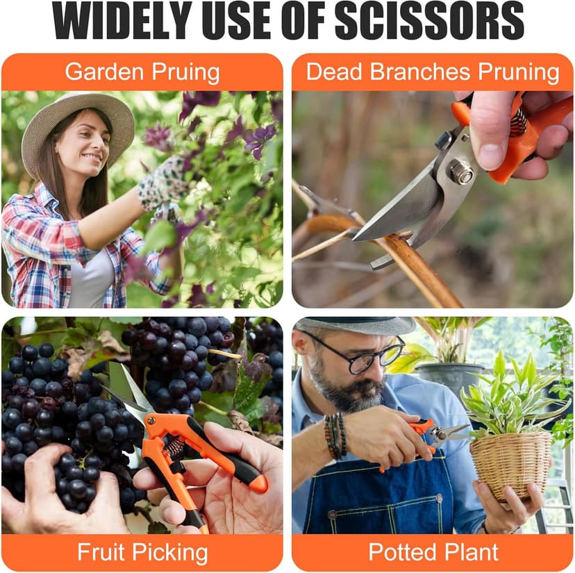 3 pcs garden shears Stainless steel Gardening scissors Pruning shears for gardening For pruning scissors flowers fruit trees