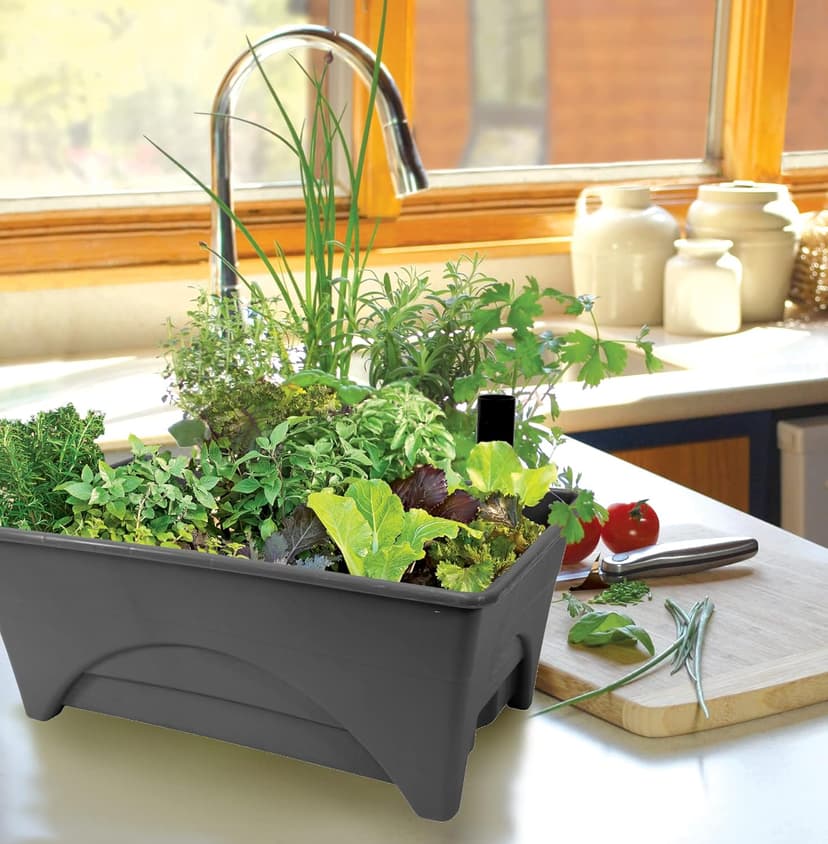 Emsco Group Start Pickin' Raised Bed Grow Box – Self Watering and Improved Aeration – Starter Box or Small Herb Garden Growing - 10" Bed - 12x20 Growing Area - Slate