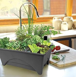 Emsco Group Start Pickin' Raised Bed Grow Box – Self Watering and Improved Aeration – Starter Box or Small Herb Garden Growing - 10" Bed - 12x20 Growing Area - Slate