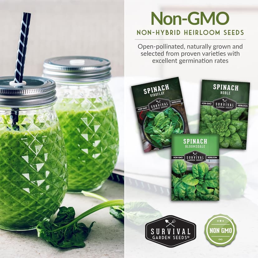 Survival Garden Seeds Spinach Seed Collection – 3 Packets of Seeds with Growing Instructions – Viroflay, Noble, Bloomsdale Spinach Varieties – Non-GMO Heirloom Open-Pollinated Seeds to Plant
