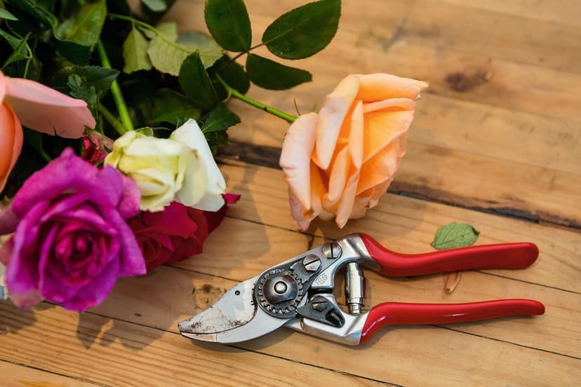 FELCO Pruning Shears (F 14) - High Performance Swiss Made One-Hand Garden Pruner with Steel Blade,Red, Silver