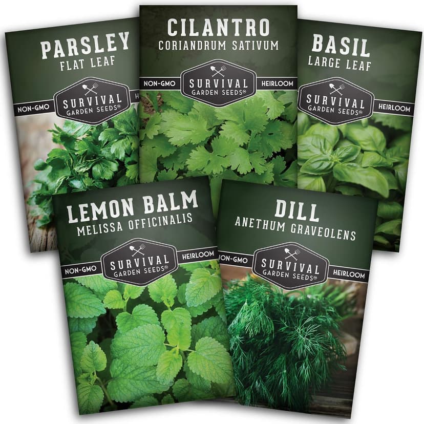 Survival Garden Seeds Herb Collection Seed Vault - Parsley, Cilantro, Basil, Lemon Balm, Dill - Non-GMO Heirloom Survival Garden Seeds for Planting - Grow Herbs Indoors Year Round