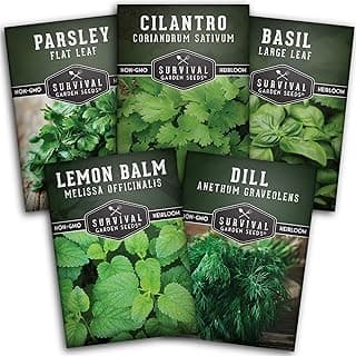 Survival Garden Seeds Herb Collection Seed Vault - Parsley, Cilantro, Basil, Lemon Balm, Dill - Non-GMO Heirloom Survival Garden Seeds for Planting - Grow Herbs Indoors Year Round