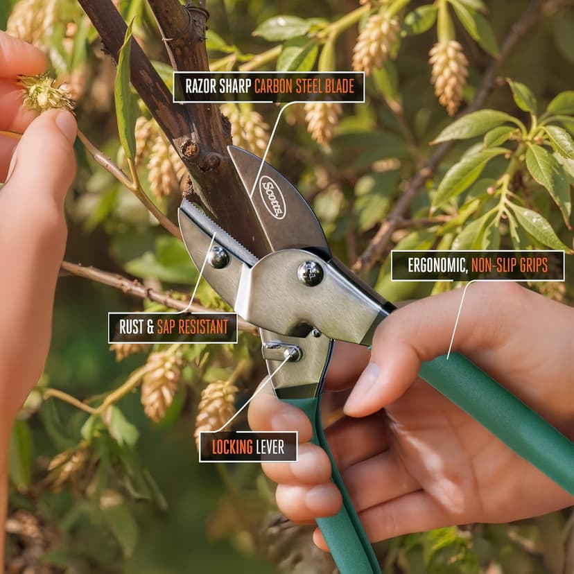 Scotts 8 in. Anvil Pruning Shears – 1/2 in. Cutting Capacity, Heavy-Duty Garden Pruner for Dry Stems and Dead Wood, Sap Resistant – Comfort Grip with Sharp Carbon Steel Blade for Yard and Garden Use