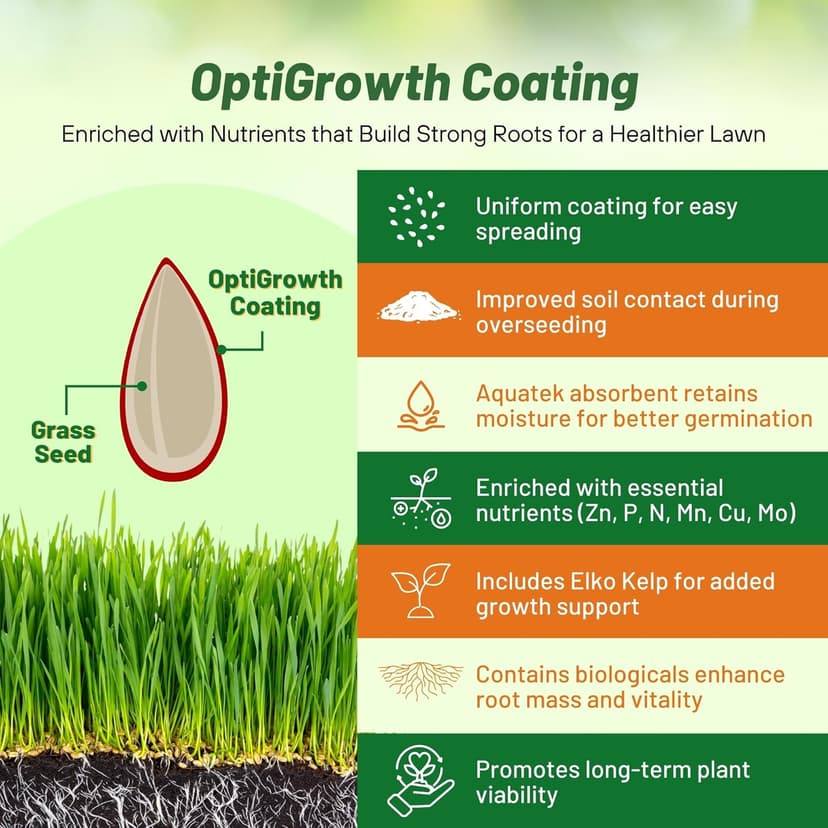 Outsidepride Legacy Fine Fescue Grass Seed Mix - 5 lbs. Shade & Sun Tolerant Blend of Hard Fescue, Chewings Fescue & Creeping Red Fescue with OptiGrowth Coating for Better Establishment
